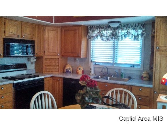 1109 North Wesley Street Springfield, IL 62702 - Photo 3 of 11