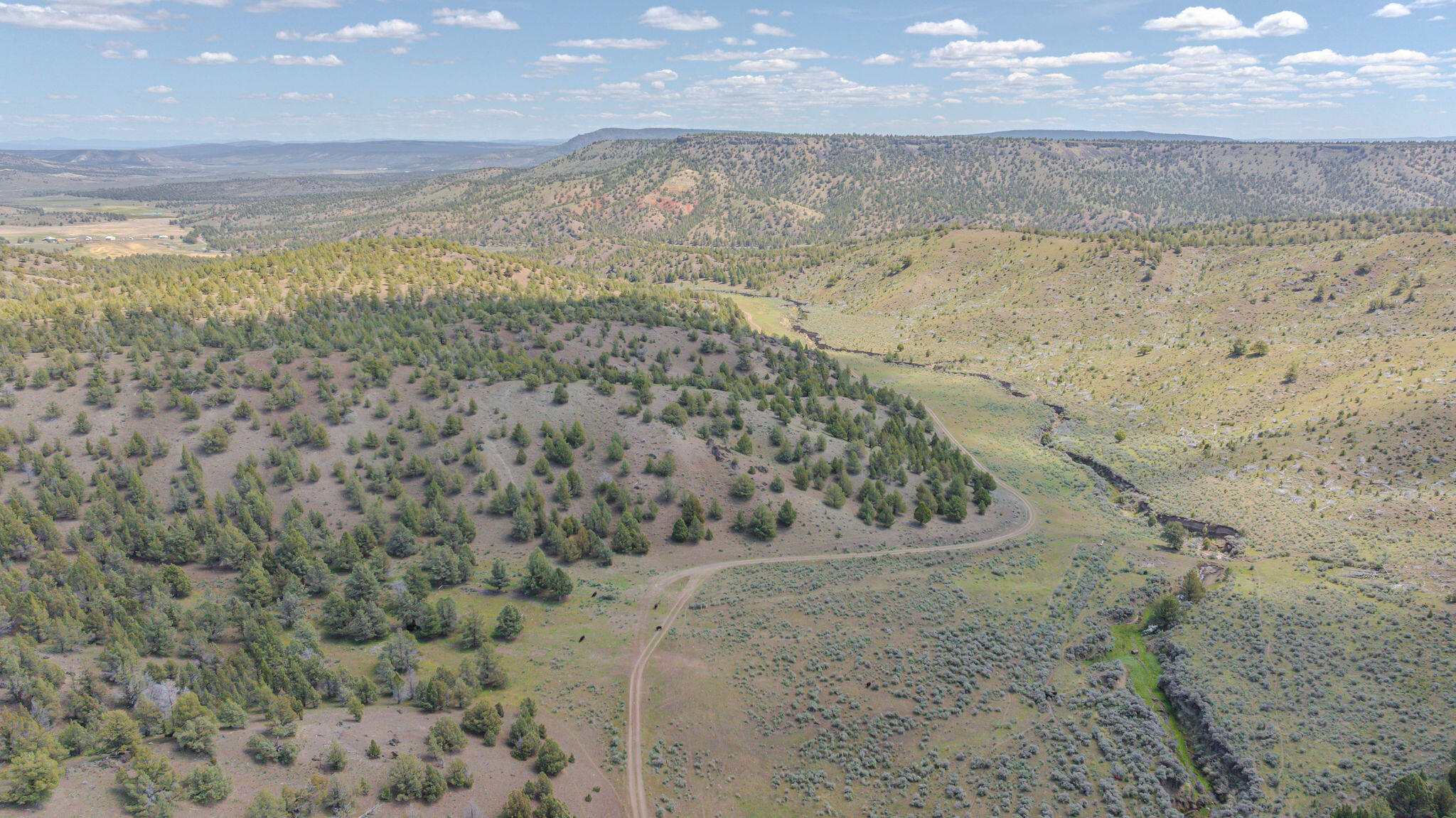 41221 Van Lake Road Prineville, OR 97754 - Photo 111 of 189 DJI_20260430121236_0145_D-HDR