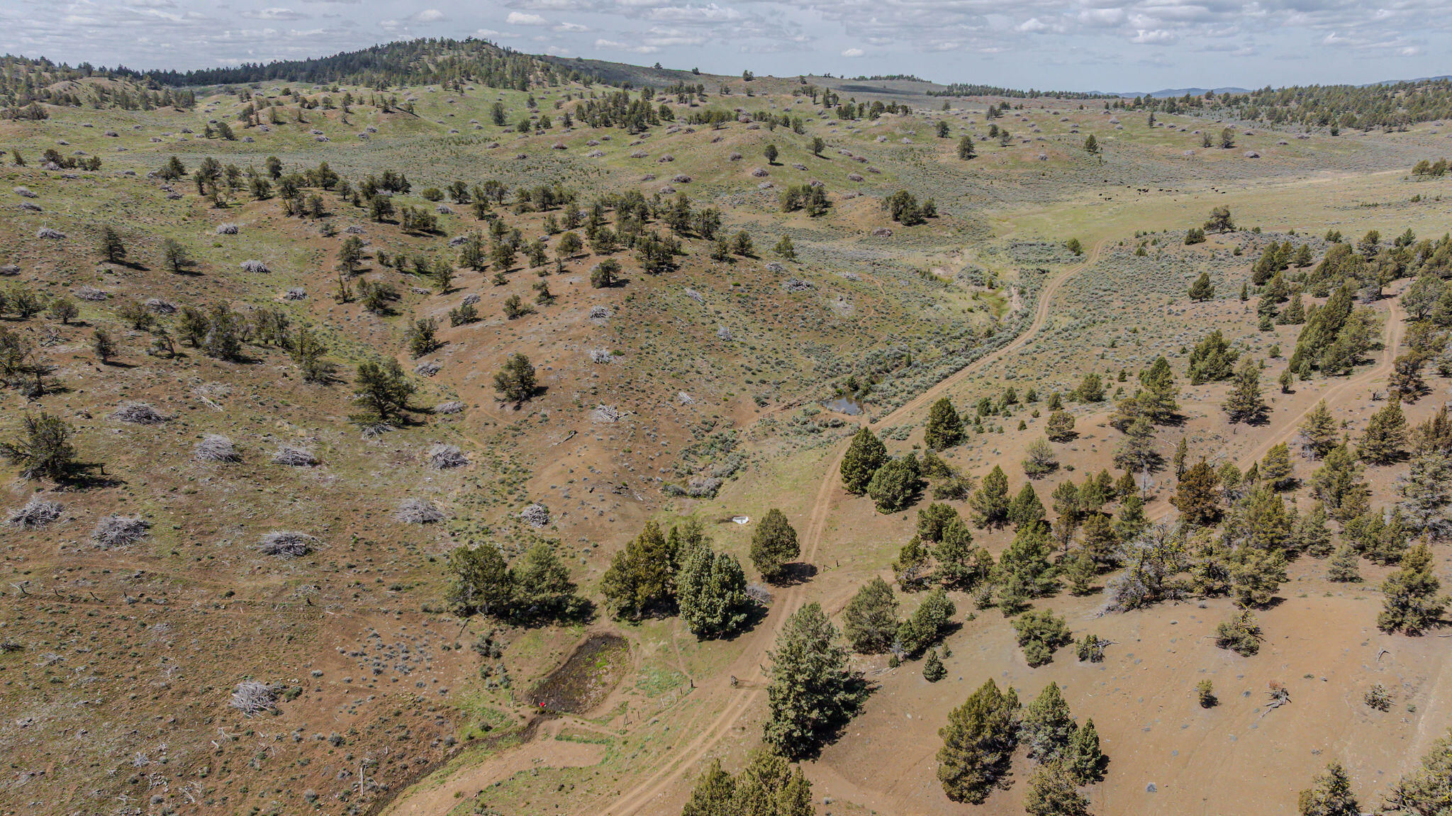 41221 Van Lake Road Prineville, OR 97754 - Photo 119 of 189 DJI_20260430123328_0172_D-HDR