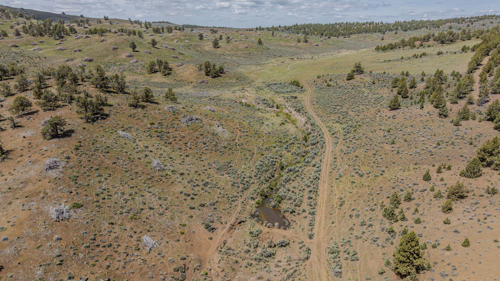 41221 Van Lake Road Prineville, OR 97754 - Photo 120 of 189 a view of a dry yard with wooden floor