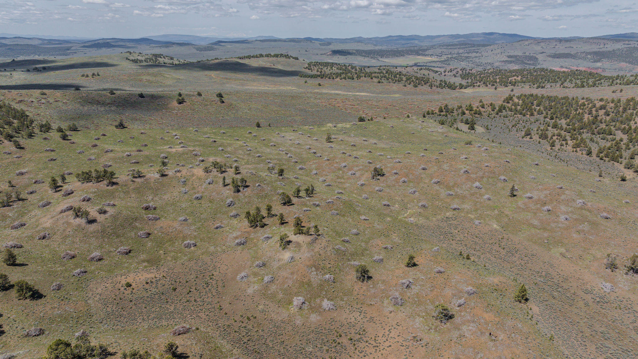 41221 Van Lake Road Prineville, OR 97754 - Photo 122 of 189 DJI_20260430123430_0181_D-HDR