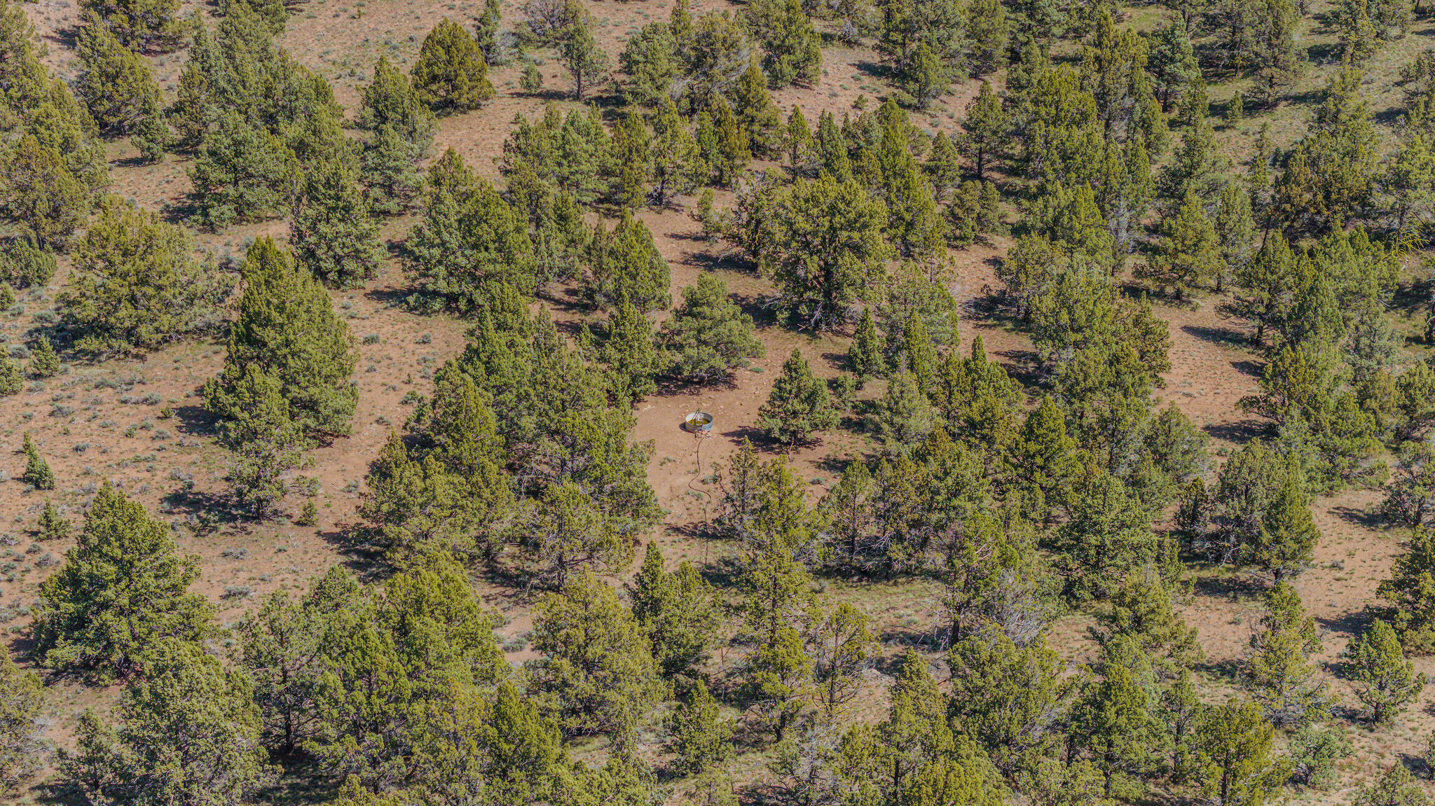 41221 Van Lake Road Prineville, OR 97754 - Photo 149 of 189 DJI_20260430141146_0265_D-HDR
