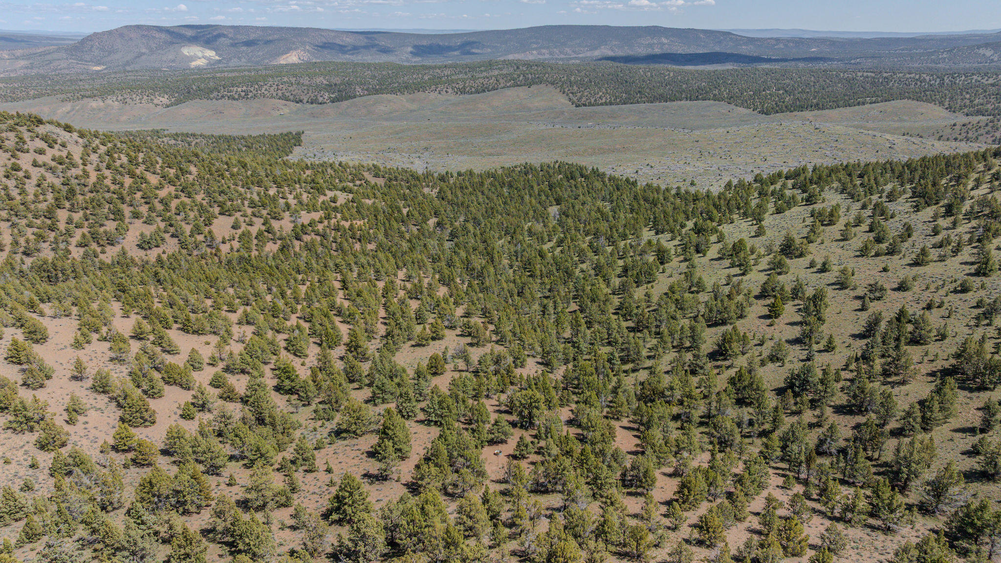 41221 Van Lake Road Prineville, OR 97754 - Photo 150 of 189 DJI_20260430141156_0268_D-HDR