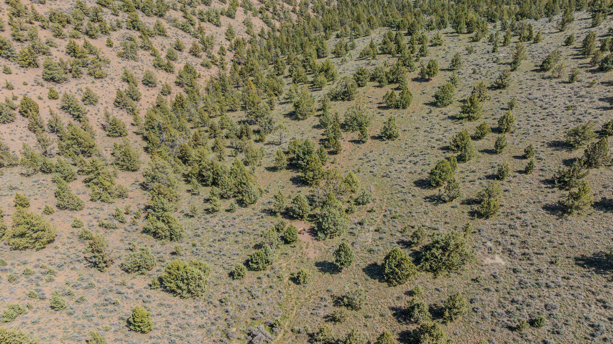 41221 Van Lake Road Prineville, OR 97754 - Photo 153 of 189 DJI_20260430142243_0277_D-HDR