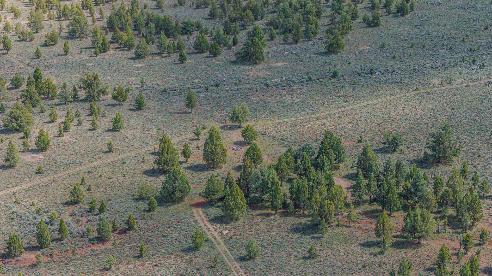 41221 Van Lake Road Prineville, OR 97754 - Photo 156 of 189 DJI_20260430143830_0286_D-HDR