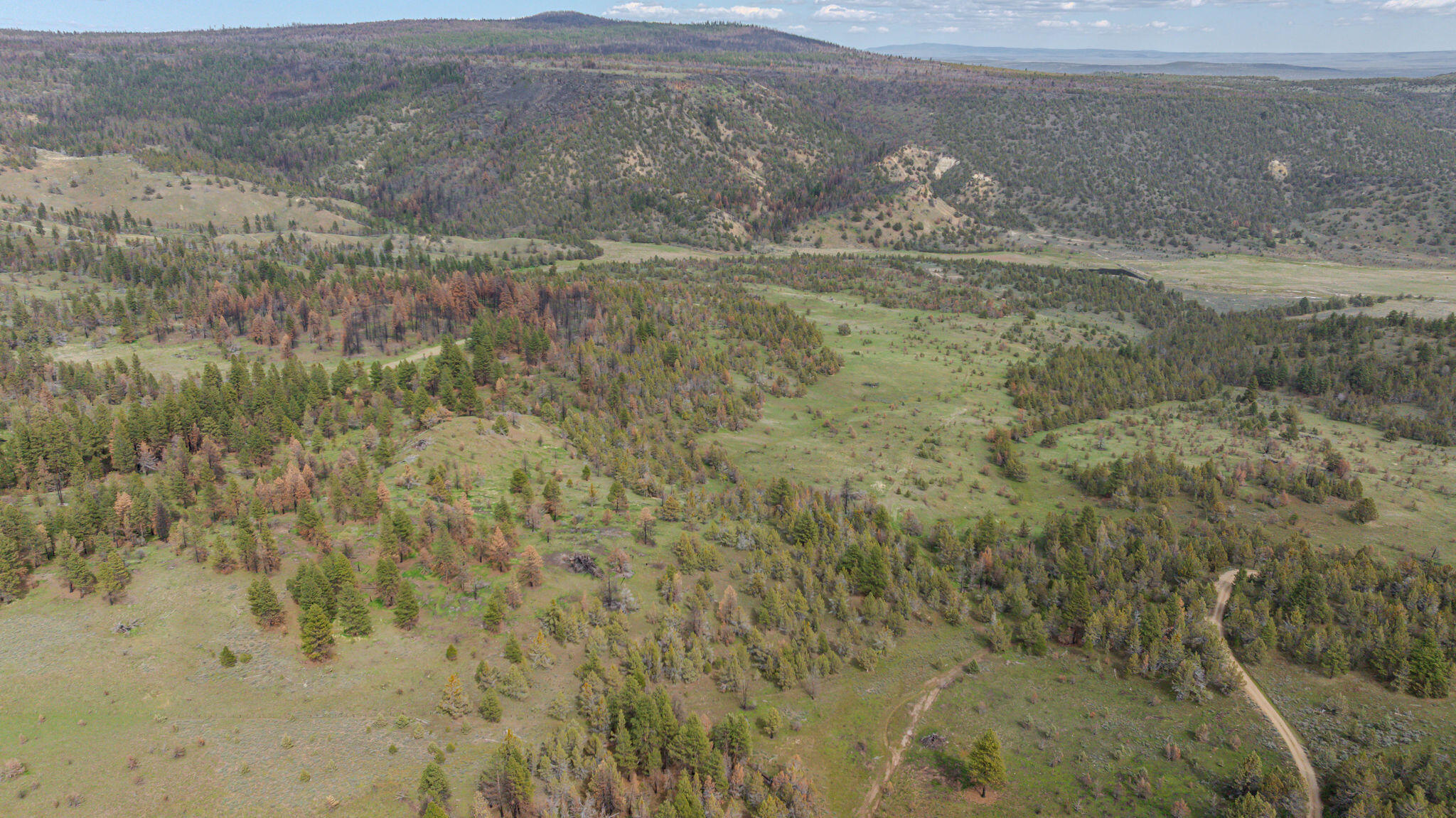 41221 Van Lake Road Prineville, OR 97754 - Photo 168 of 189 DJI_20260430154032_0322_D-HDR