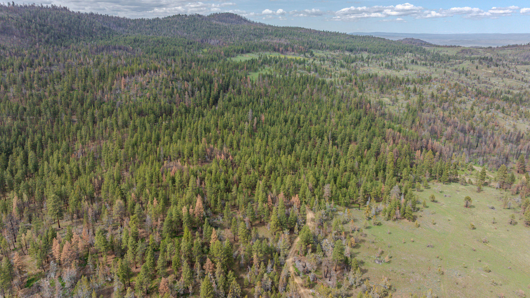 41221 Van Lake Road Prineville, OR 97754 - Photo 169 of 189 DJI_20260430154040_0325_D-HDR