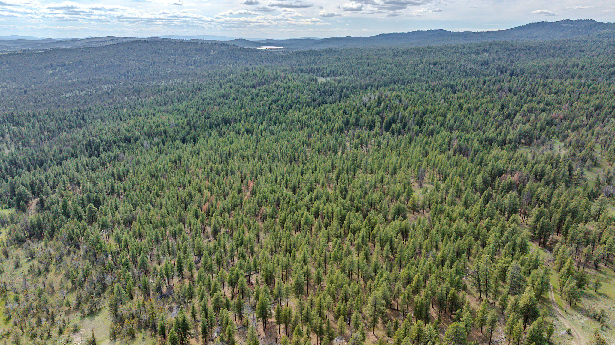 41221 Van Lake Road Prineville, OR 97754 - Photo 170 of 189 DJI_20260430154052_0328_D-HDR