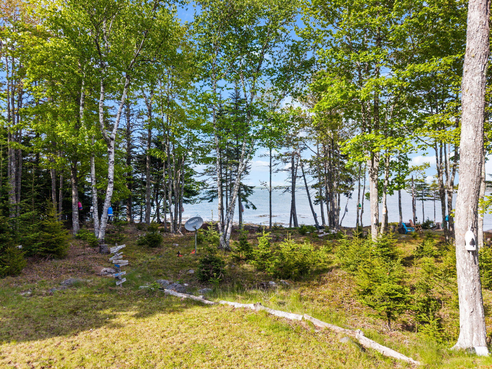 566 Rays Point Road Milbridge, ME 04658 - Photo 14 of 24 13-web-or-mls-566 Rays Point Rd, Milbrid