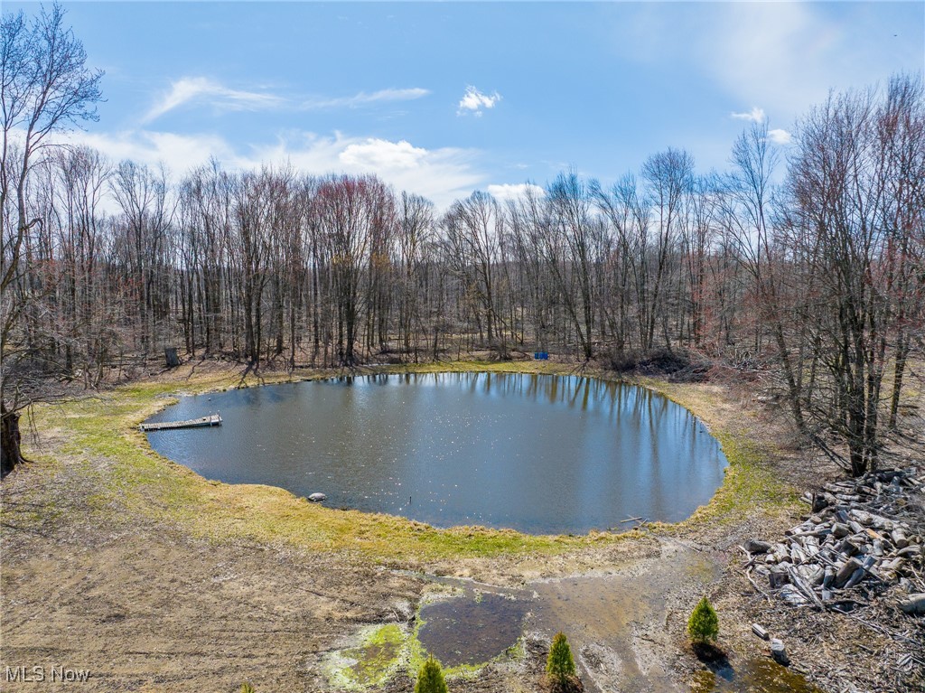 Moff Road Road Atwater, OH 44201 - Photo 15 of 33 View of water feature featuring a forest view