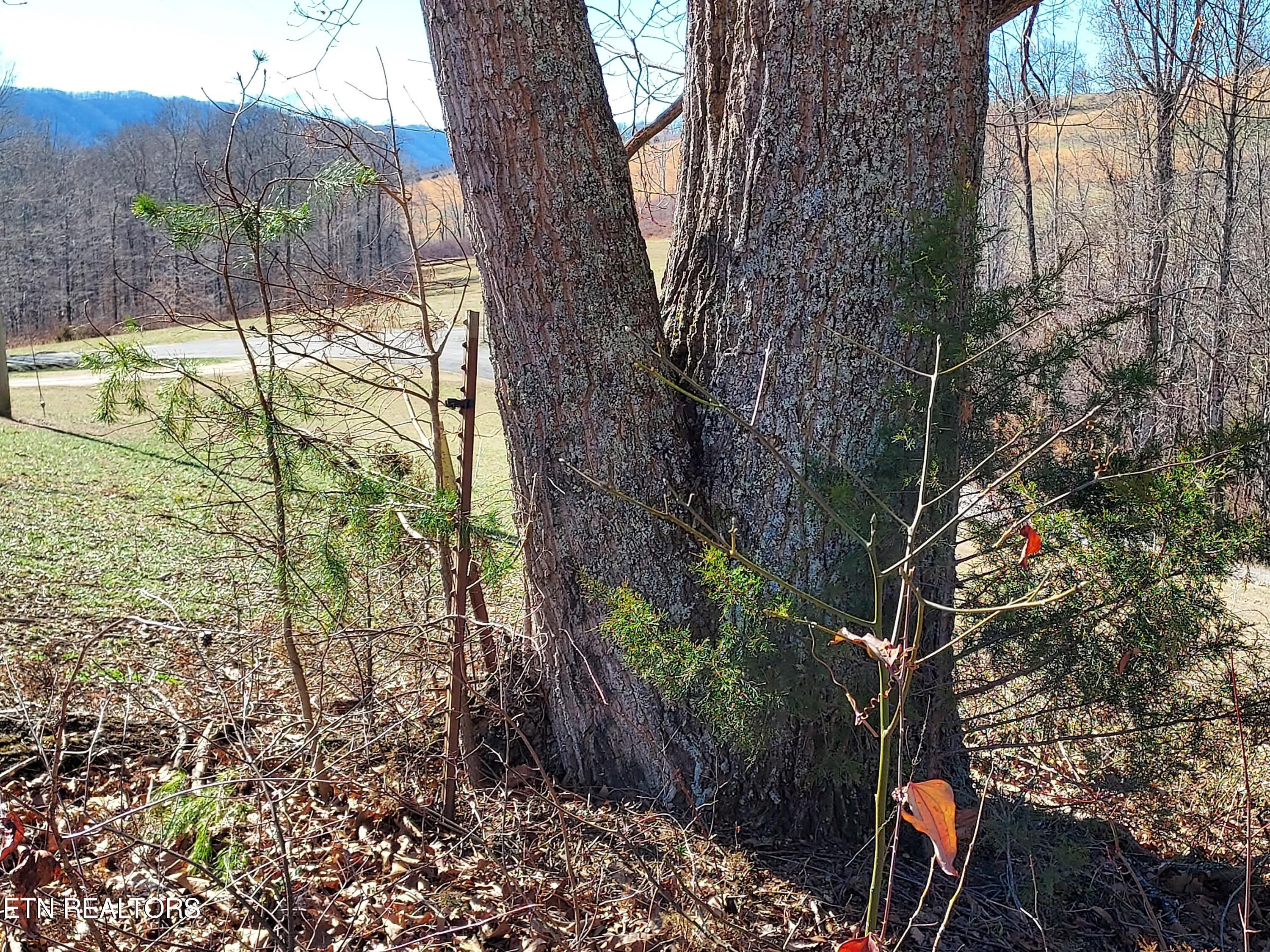 1935 Winstead Road Thorn Hill, TN 37881 - Photo 12 of 18 20240206_130821