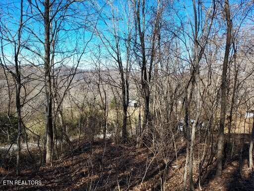 1935 Winstead Road Thorn Hill, TN 37881 - Photo 3 of 18 1000016410