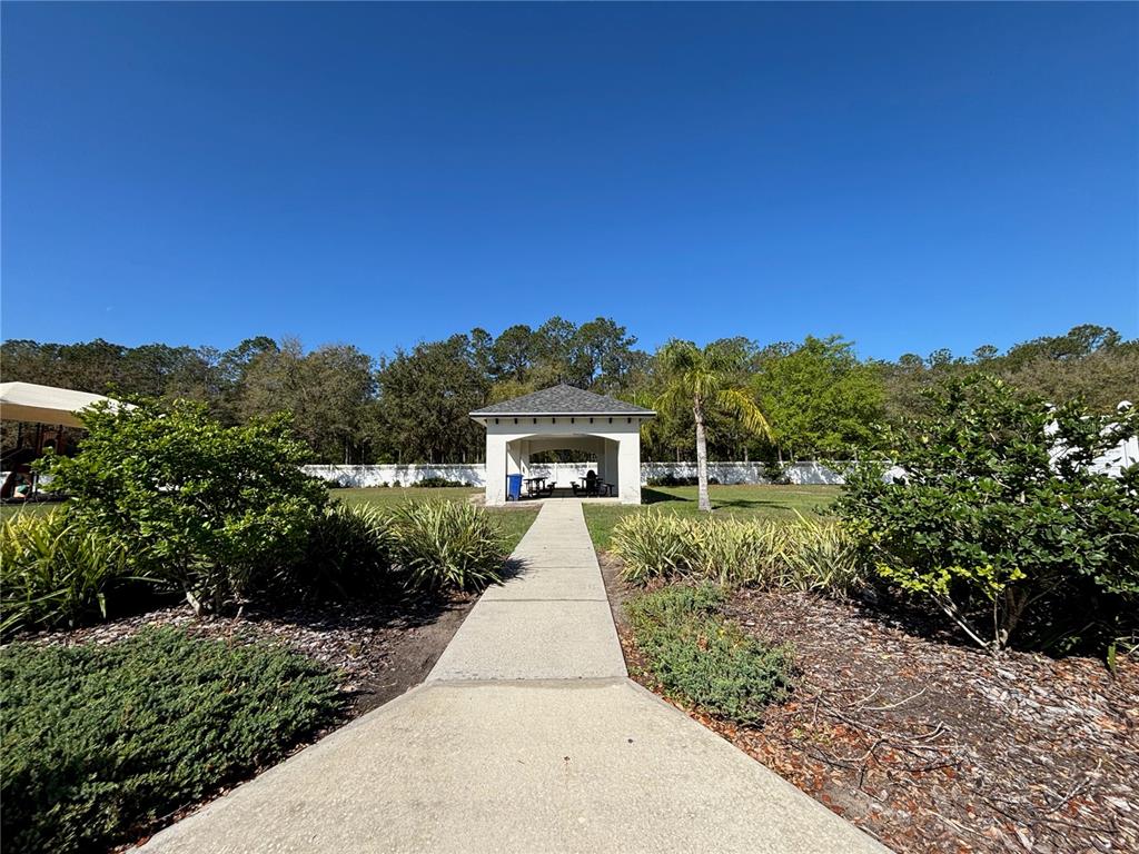 5128 Hartwell Loop Land O' Lakes, FL 34638 - Photo 42 of 43