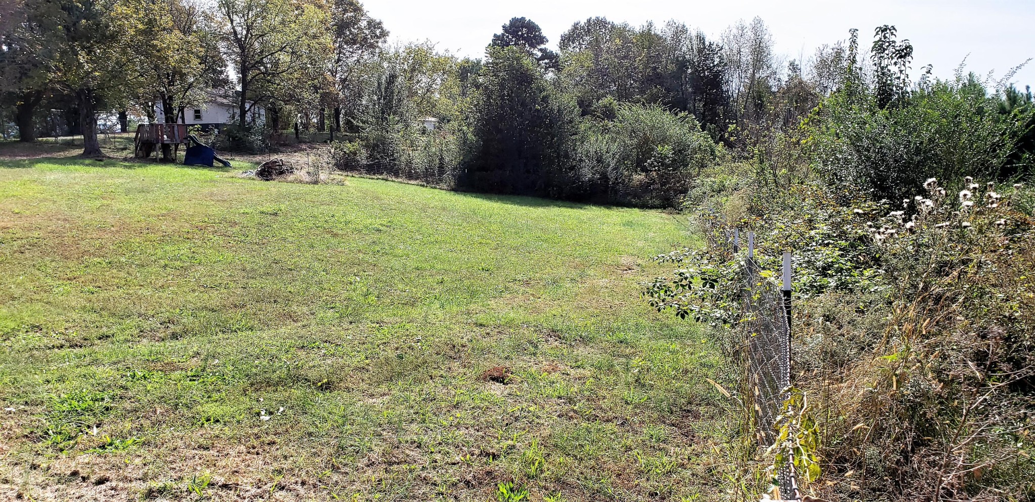 605 Co Road Etowah, TN 37331 - Photo 3 of 6 Gallery Image 3