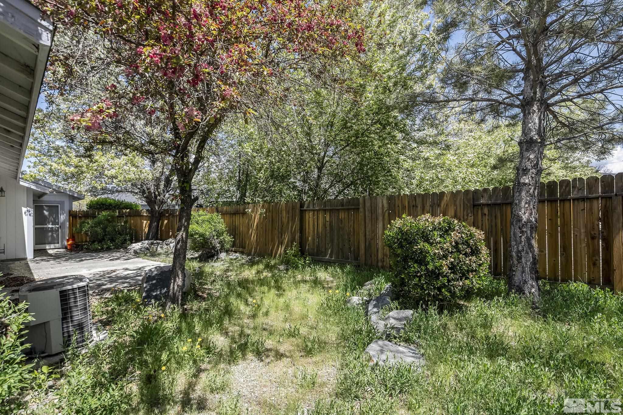 1095 Conifer Drive Minden, NV 89423 - Photo 15 of 19 a backyard of a house with lots of green space