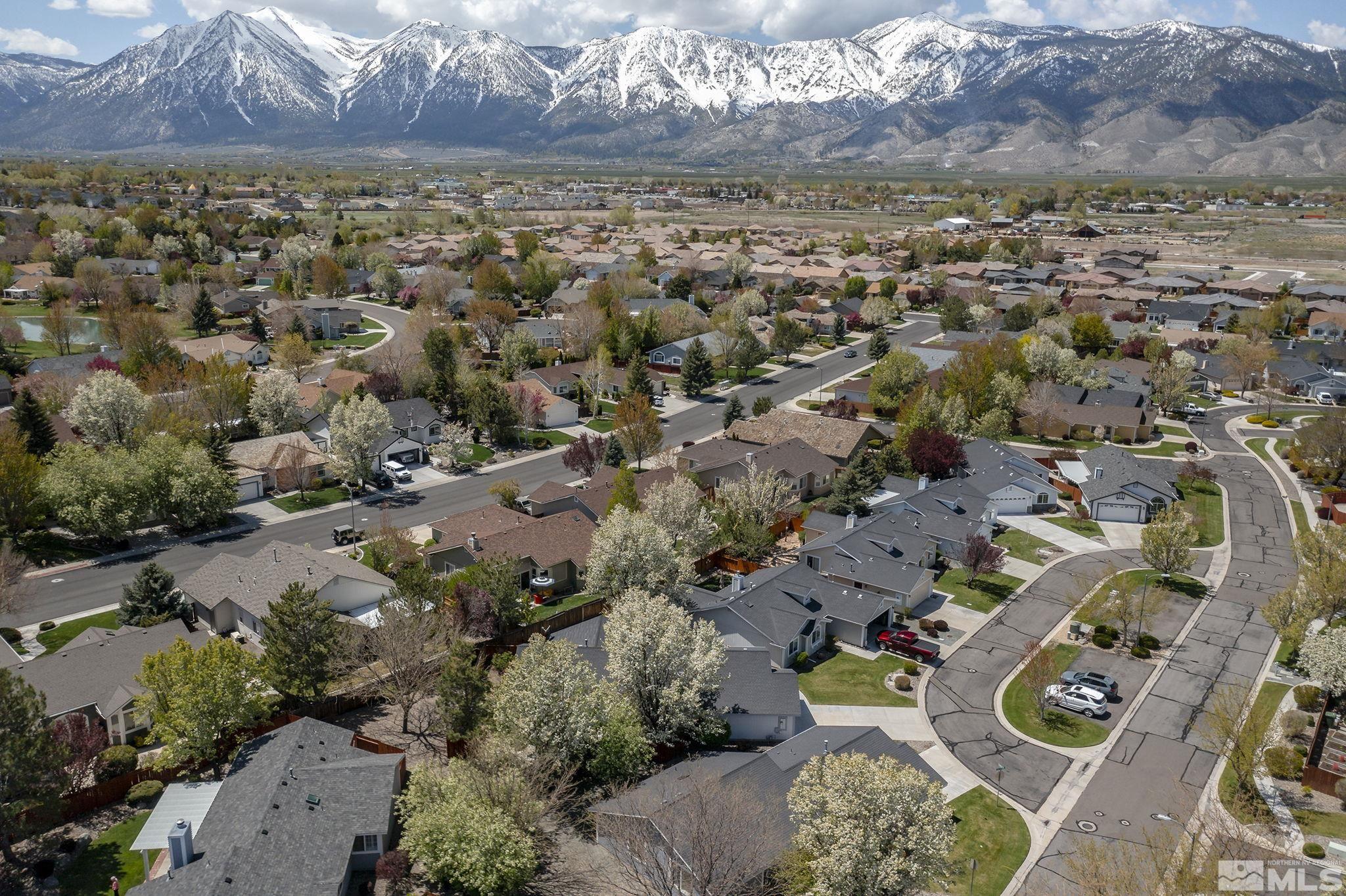 1095 Conifer Drive Minden, NV 89423 - Photo 18 of 19 an aerial view of residential house with outdoor space