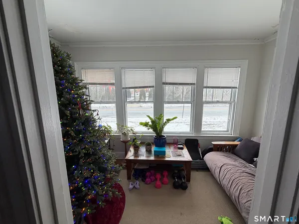 a living room with furniture and a potted plant