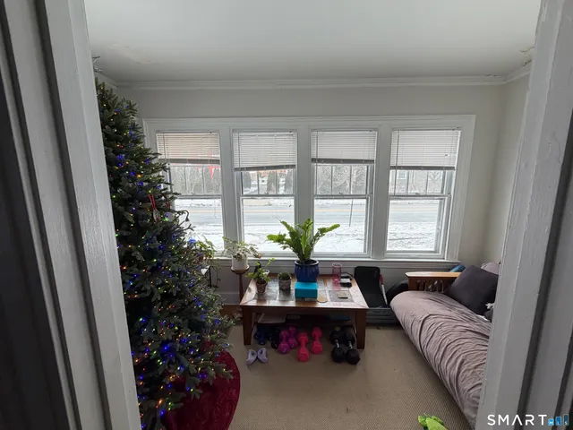 a living room with furniture and a potted plant