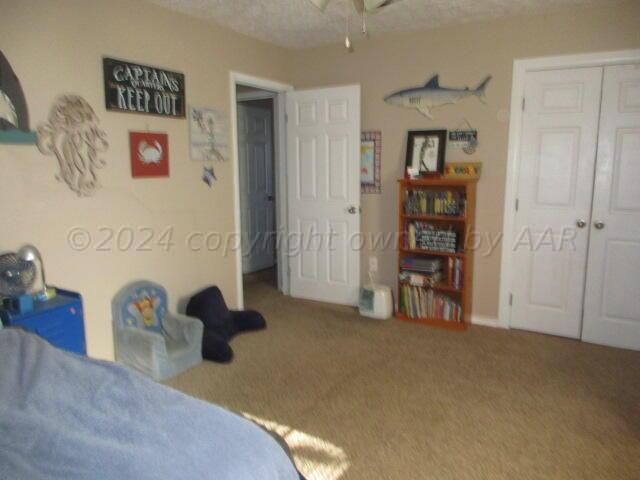 4243 Camp Lane Amarillo, TX 79110 - Photo 10 of 17