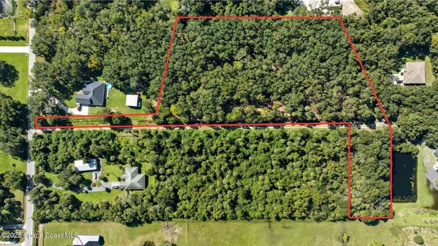 a view of a tree with a yard