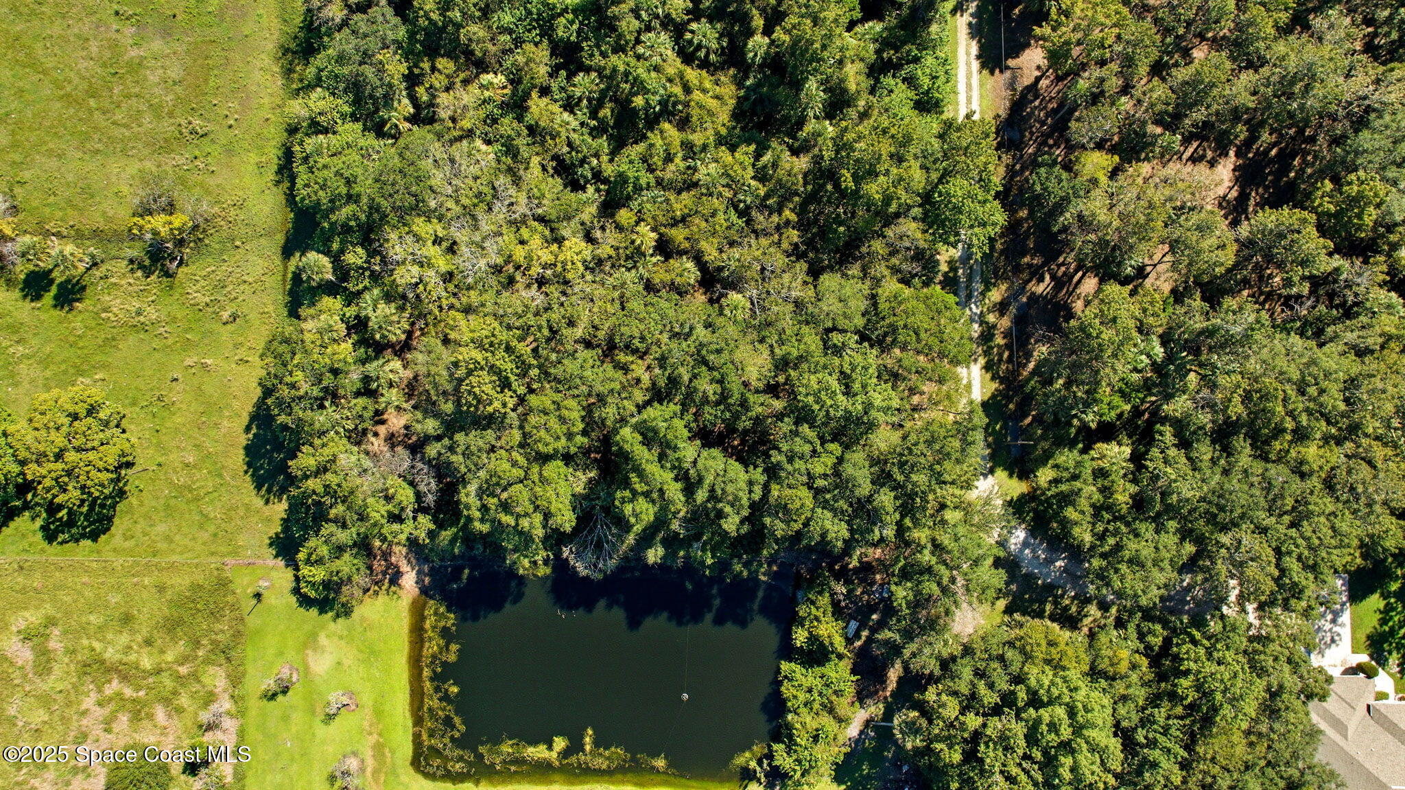 4110 Hampton Lane Mims, FL 32754 - Photo 12 of 26 a view of a tree with a yard