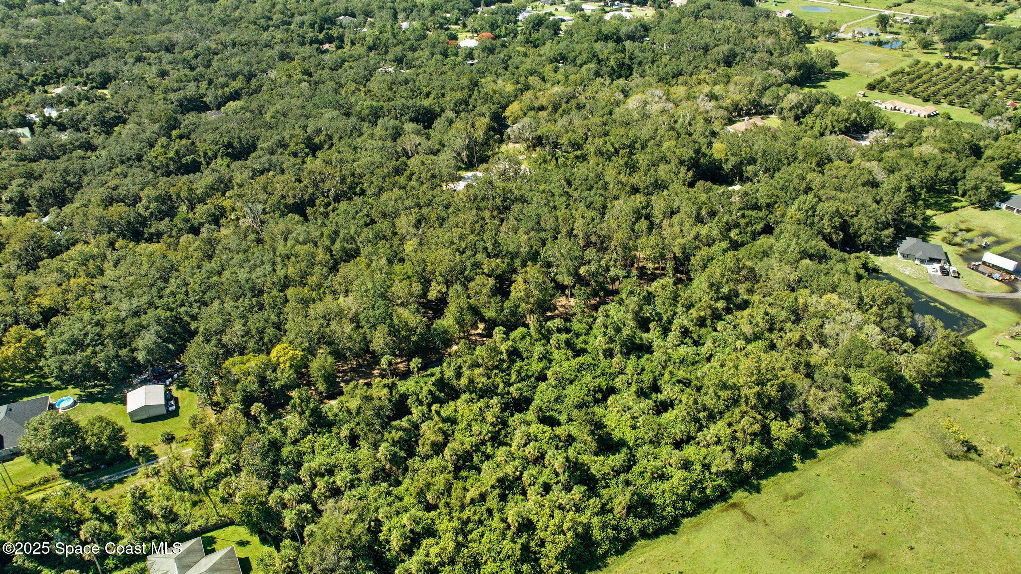 4110 Hampton Lane Mims, FL 32754 - Photo 15 of 26 a view of a large yard with plants and flowers