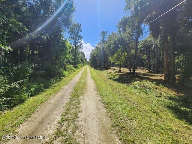 4110 Hampton Lane Mims, FL 32754 - Photo 17 of 26 a view of a yard with swimming pool