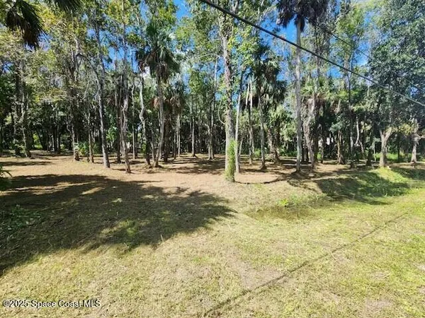a view of outdoor space with trees