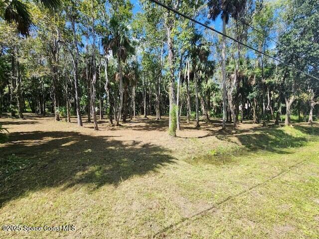 4110 Hampton Lane Mims, FL 32754 - Photo 18 of 26 a view of park space