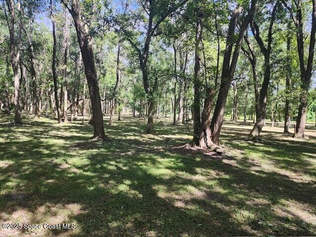 4110 Hampton Lane Mims, FL 32754 - Photo 19 of 26 a view of outdoor space with trees