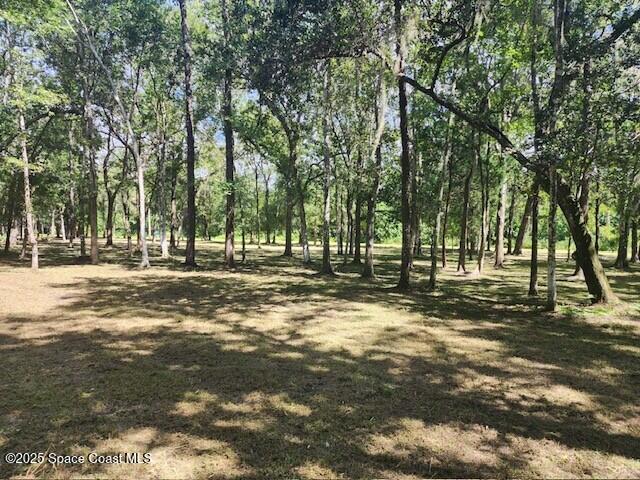 4110 Hampton Lane Mims, FL 32754 - Photo 20 of 26 a view of road with trees