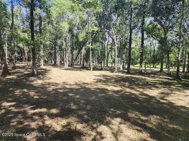 a view of outdoor space with trees