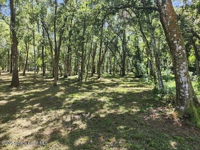 4110 Hampton Lane Mims, FL 32754 - Photo 23 of 26 a view of outdoor space with green space