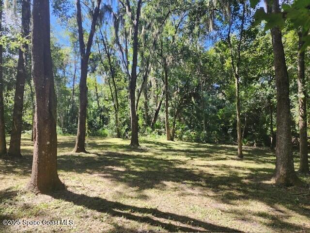 4110 Hampton Lane Mims, FL 32754 - Photo 24 of 26 a view of a trees with a yard