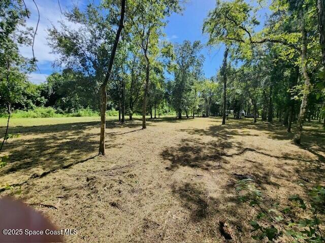 4110 Hampton Lane Mims, FL 32754 - Photo 25 of 26 a view of a yard with a tree
