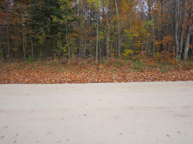 0 Webb Road Grand Marais, MI 49839 - Photo 1 of 2 Gallery Image 1