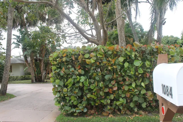 $3,000 | 1084 Southeast St Lucie Boulevard, Stuart, FL 34996