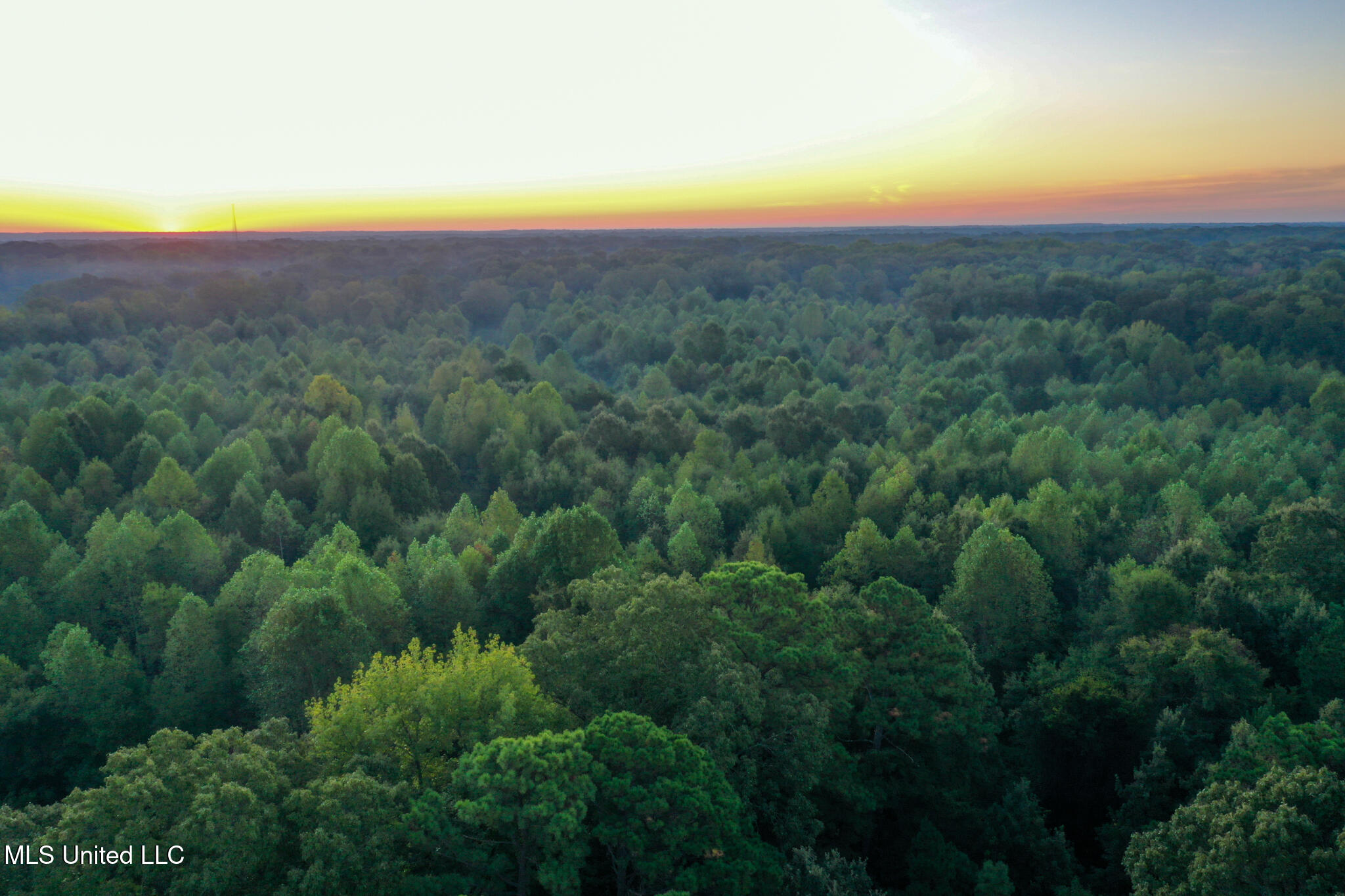Davis Lane Hernando, MS 38632 - Photo 13 of 43 MLS-DeSoto 329 Prewett (Thompson) -12