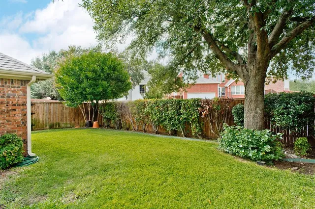 a view of a yard with a tree
