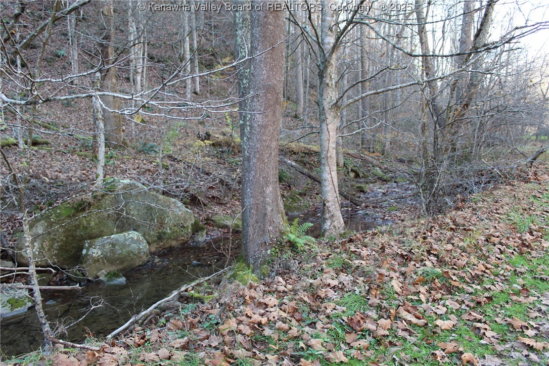 558 Sears Run Road Chloe, WV 25235 - Photo 26 of 29 Gallery Image 26
