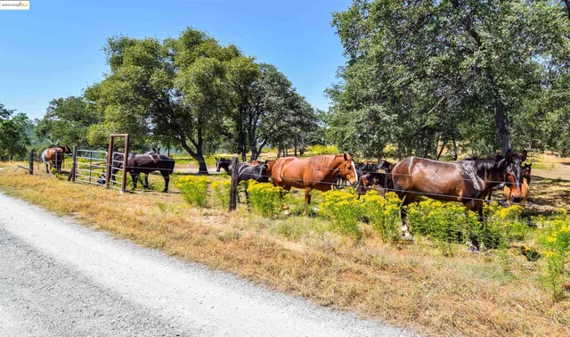 a view of a road with an ocean view