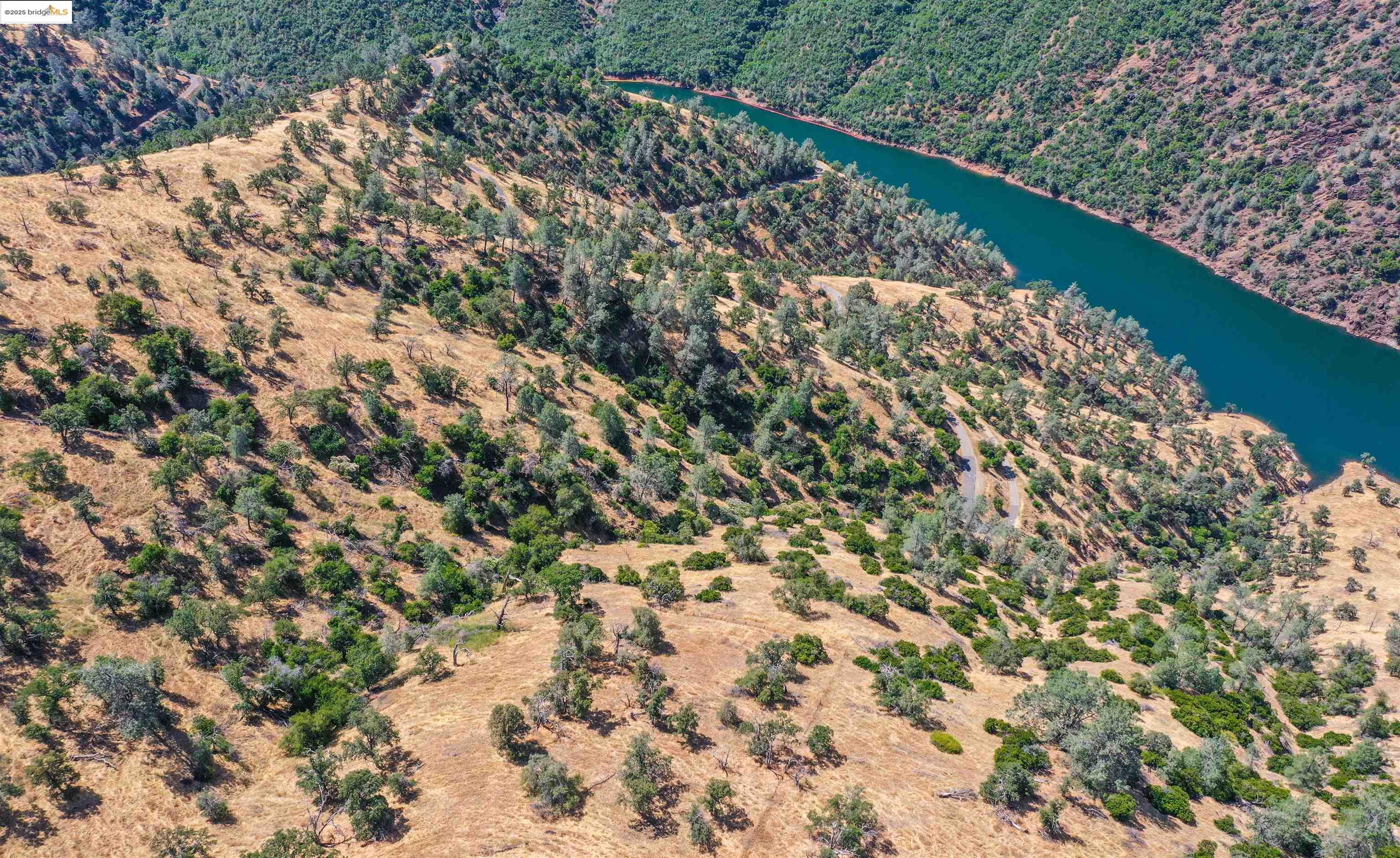 26255 Powell Ranch Road Sonora, CA 95370 - Photo 44 of 48 a view of a yard with a plant