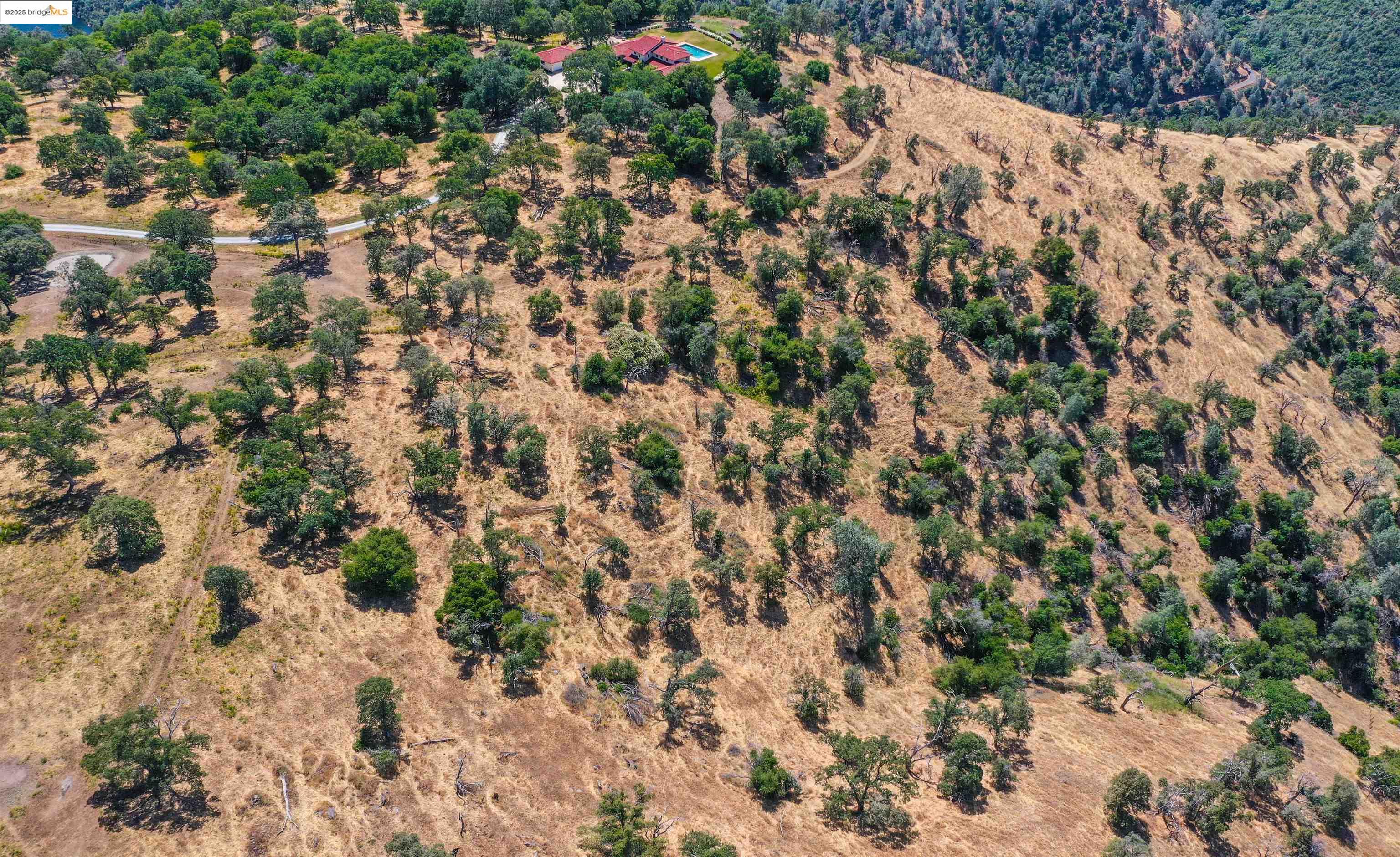 26255 Powell Ranch Road Sonora, CA 95370 - Photo 45 of 48 a view of a yard with a tree