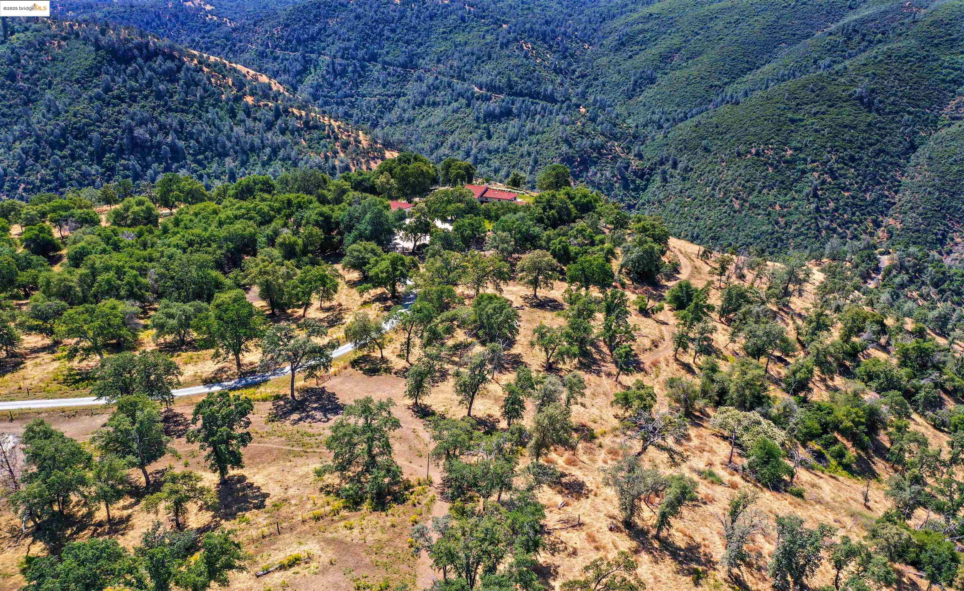 26255 Powell Ranch Road Sonora, CA 95370 - Photo 46 of 48 a backyard of a house