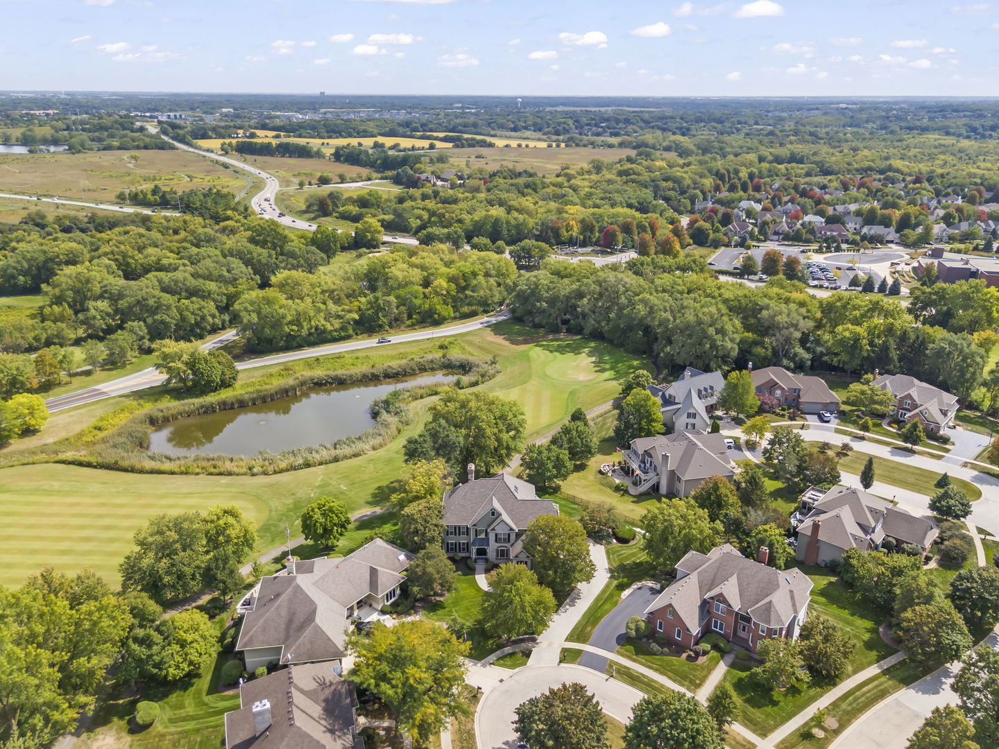 39W114 Fryendall Court Geneva, IL 60134 - Photo 41 of 76 a view of a city