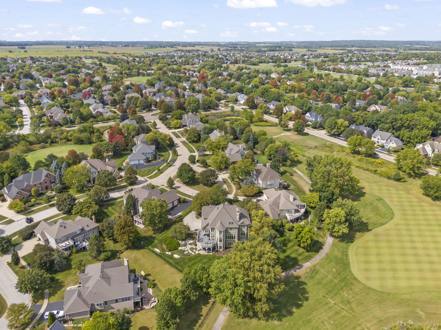 39W114 Fryendall Court Geneva, IL 60134 - Photo 45 of 76 an aerial view of residential houses with outdoor space and trees all around