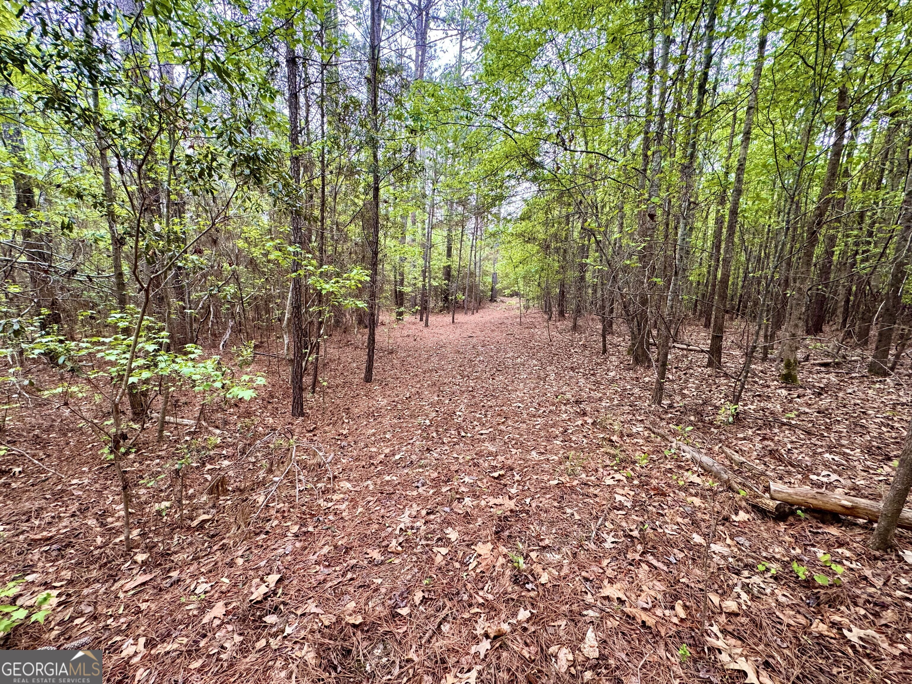 1 Roy Lawrence Road Sparta, GA 31087 - Photo 14 of 33