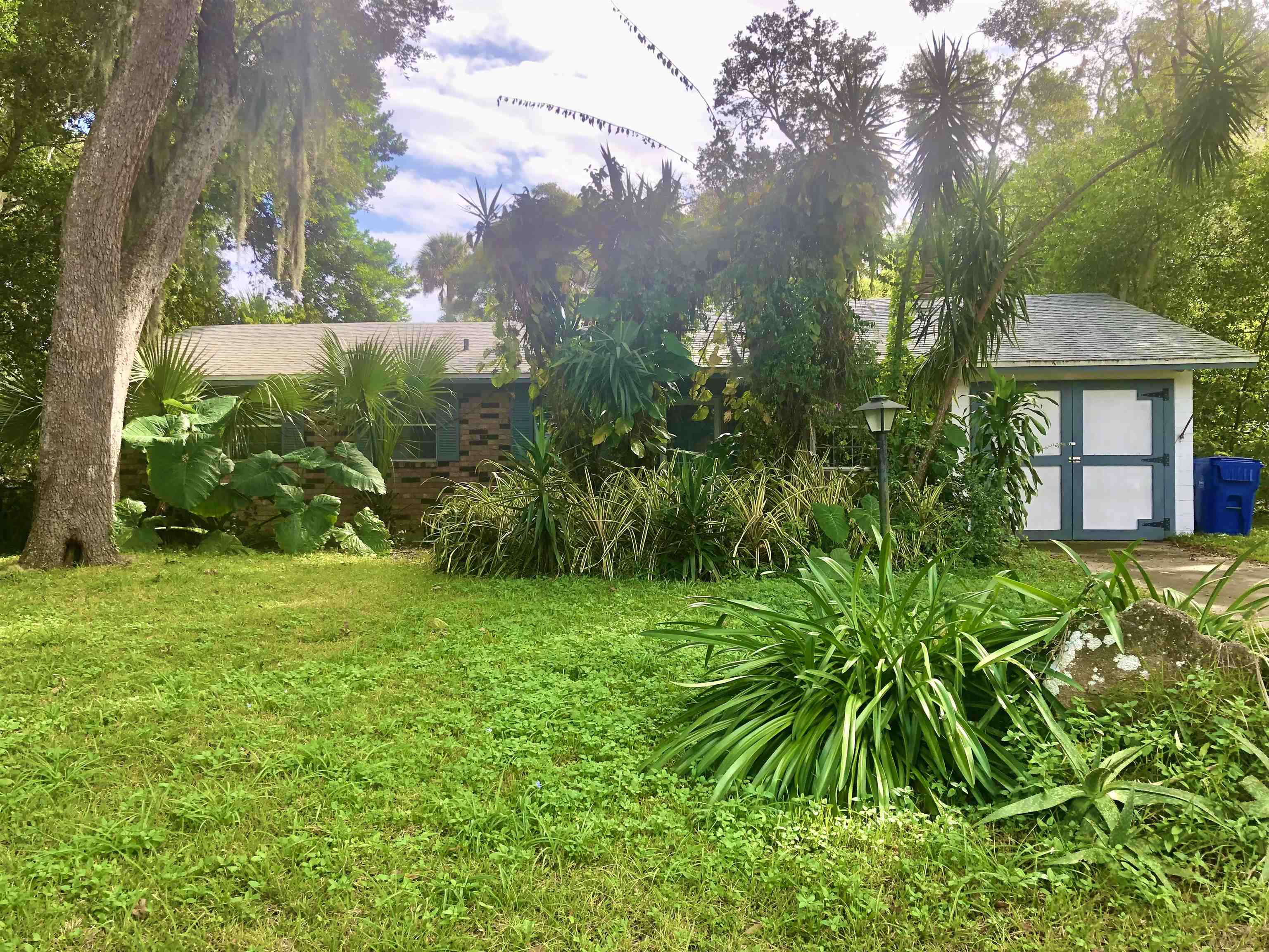 126 Hercules Road St. Augustine, FL 32086 - Photo 1 of 2 a view of a yard with plants and large trees