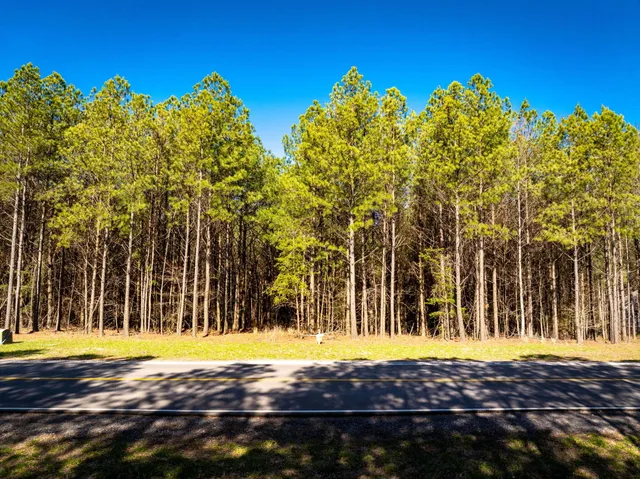 $94,900 | 0 Crockett Pointe Point, Unit JF 313, Jasper, TN 37347