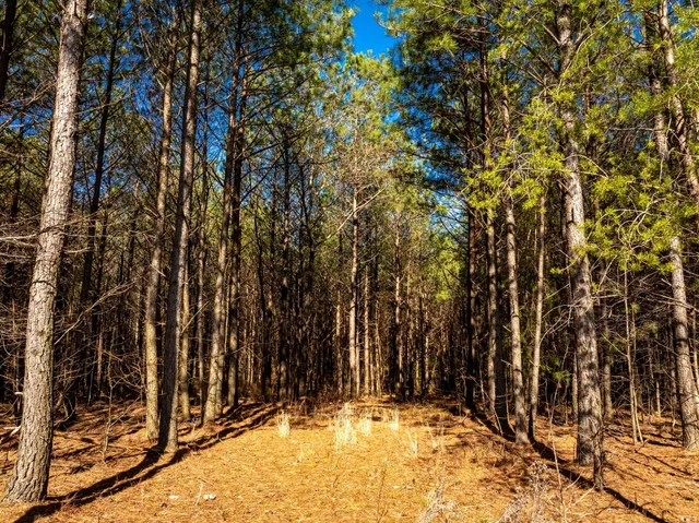 $94,900 | 0 Crockett Pointe Point, Unit JF 313, Jasper, TN 37347